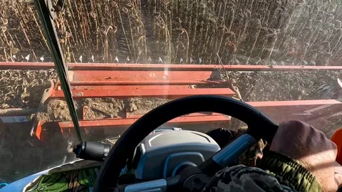 View from the cabin of an agricultural combine harvester on a sunflower field Stock Footage 281508853