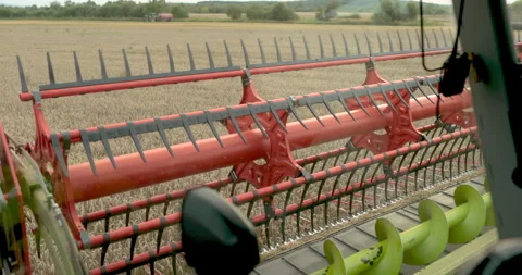 View from the cabin of the combine harvester. Stock Footage 252420723