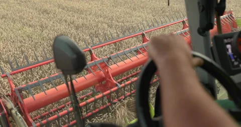 View from the cabin of the combine harvester. Stock Footage 252420859
