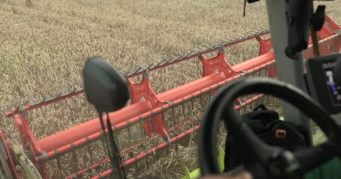 View from the cabin of the combine harvester. Stock Footage 252421033