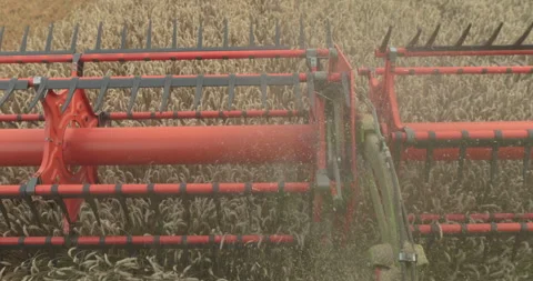 View from the cabin of the combine harvester. Stock Footage 252421362