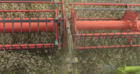 View from the cabin of the combine harvester. Stock Footage 252421522