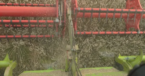 View from the cabin of the combine harvester. Stock Footage 252421826