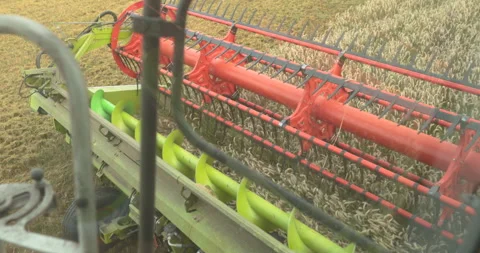 View from the cabin of the combine harvester. Stock Footage 252422012