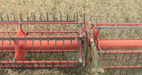 View from the cabin of the combine harvester. Stock Footage 252422535