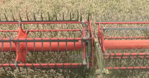 View from the cabin of the combine harvester. Stock Footage 252422549