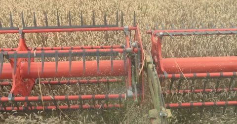 View from the cabin of the combine harvester. Stock Footage 252422739