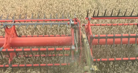 View from the cabin of the combine harvester. Stock Footage 252422982
