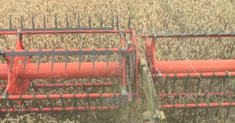 View from the cabin of the combine harvester. Stock Footage 252423012