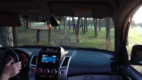 View from cabin of an SUV passing in woods between trees. Vidéo 156187898