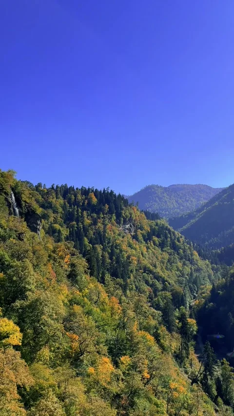 View from cable car cabin to Borjomi mountains, forest, waterfall, tree Stock Footage 289144930