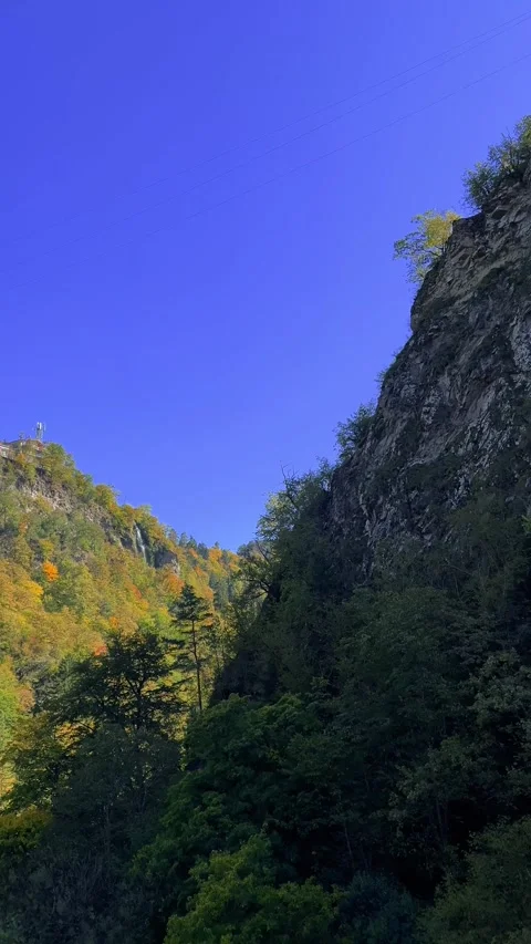 View from cable car cabin to Borjomi mountains Video stock 290153014