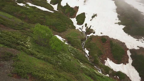 View from cable car in mountains of Rosa Khutor ski resort in Sochi. Video stock 197056650