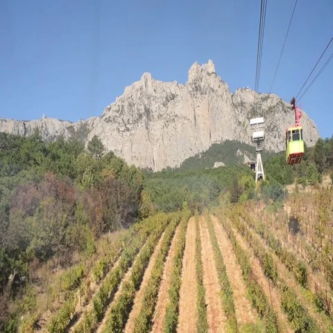 View from Cableway Stock Footage 69510597