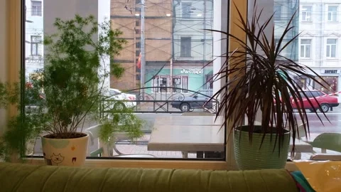 The view from the cafe to the street where it rains 스톡 동영상 240110491