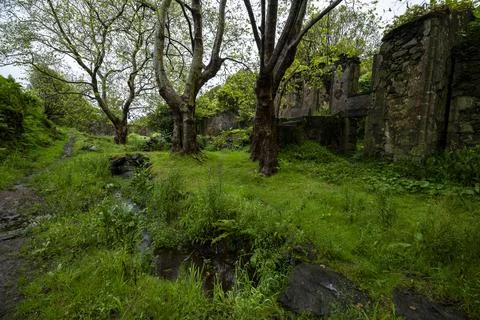 View on Caldeira do Mosteiro, abandoned village on Flores Island, Azores Фото