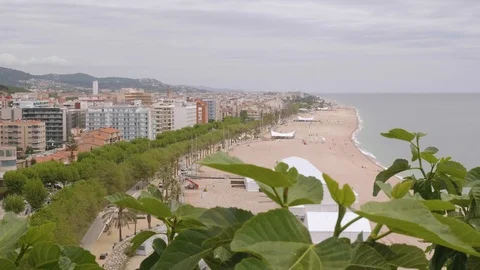 View of Calella beach through green branches of trees. Top view. Stock Footage 116412288