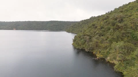 View of Calm Lagoon with Greenery Stock Footage 330759772
