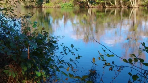 View of a calm lazy flowing river in Georgia Stock Footage 143665737