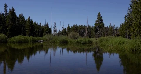 View of a calm reflective pond 4k 24fps Stock Footage 77249674