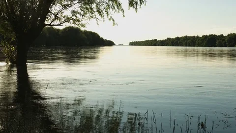 View of the calm river water 動画素材 76012077