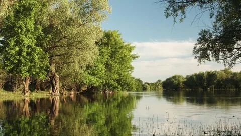 View of the calm river water Stock Footage 76012937