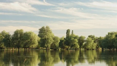 View of the calm river water Stock-Footage 76014720
