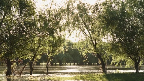 View of the calm river water 動画素材 76015048
