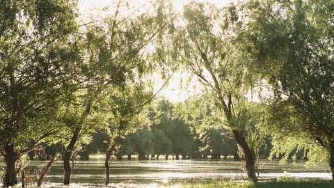 View of the calm river water Stock Footage 76015558