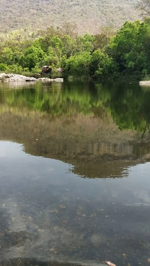 View Of The Calm River Water Stock Footage 127476676