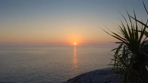 View on a calm sea with palm tree or pandan silhouette during colorful sunset Video stock 114917735