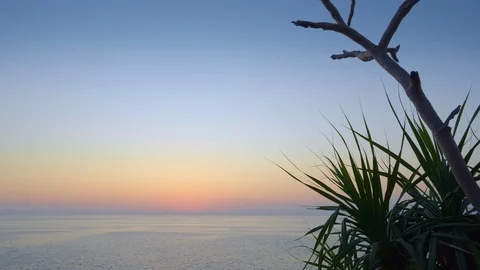 View on a calm sea with palm tree or pandan silhouette Video stock 114920083