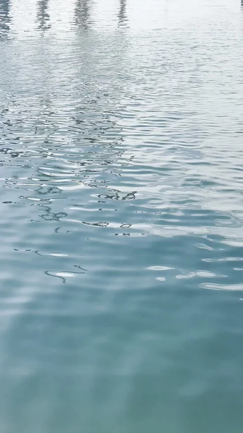 View of calm water waves in the port Stock Footage 266063211