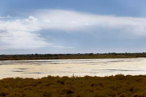 View camarge Stock Photos