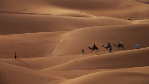 View of camel caravan in the Sahara Desert, Morocco. Stock Footage 343682256