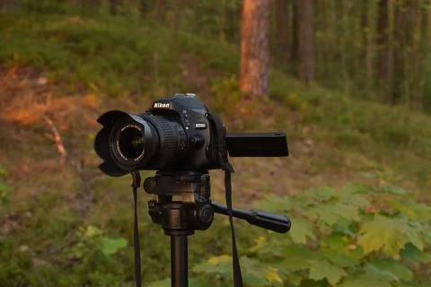 View of the camera on a tripod Foto stock