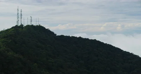 View of The Cameron Highlands At Mossy Forest in Cameron Highlands, Malaysia Stock Footage 150838851