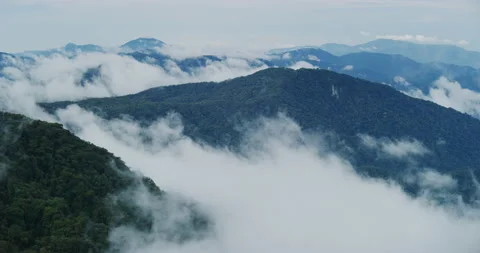View of The Cameron Highlands At Mossy Forest in Cameron Highlands, Malaysia Stock Footage 150841491