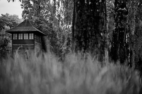 View of camp watchtower through trees and tall grass Stock Photos
