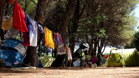 View of a camping in a pine forest, during summer, in south Italy Stock Footage 78647469
