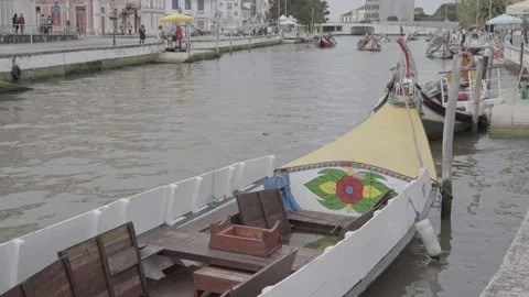 View to Canal Central in Aveiro Stock Footage 237396653