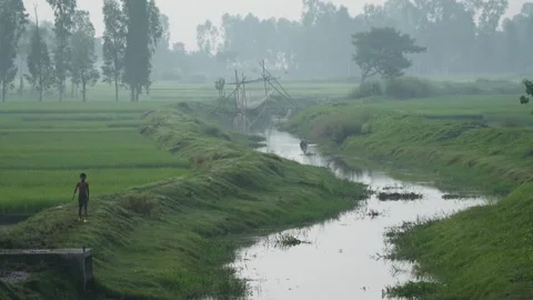 View of a canal through rice fields in Bogura, Bangladesh. Stock Footage 334959244
