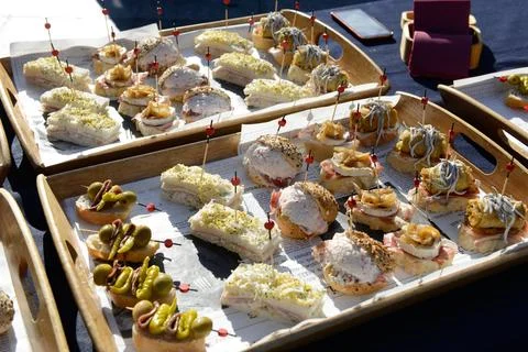 View of the Canapes with different format. 스톡 사진