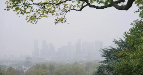 View of Canary Wharf through Greenery on a Foggy Day Stock Footage 291205451