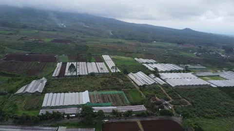 View Cangar Farm 스톡 동영상 227286965