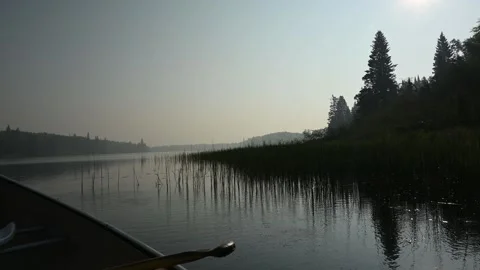 View from a canoe that is drifting along a large northern river at dawn.  Stock Footage 276283521
