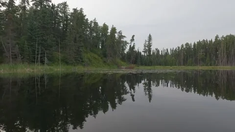 View as a canoe moves through calm water and approaches a reedy shore surrounded Stock Footage 306093904