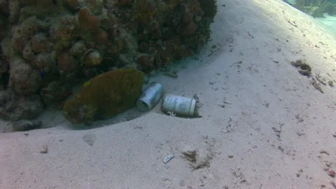 View of cans of beer on seabed and divers underwater in background. Video stock 235650491