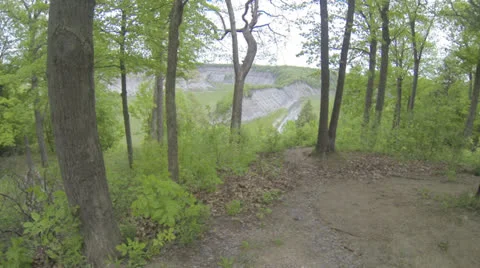 View of canyon through forest Stock Footage 23924936