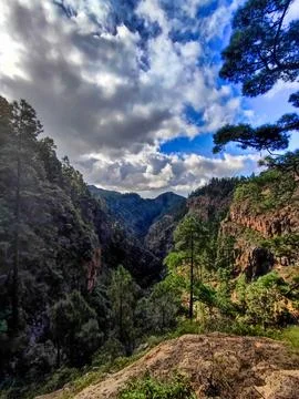 View of a canyon with trees under a partly cloudy sky in a mountainous area Stock Photos